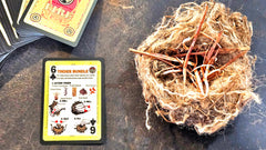 Grim Survival Playing Cards Fire Deck : 54 Fire Starting Tip Playing Cards