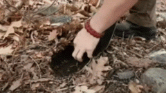 Zachary Fowler Signature Survival Card : Credit Card Size Survival Bushcraft kit