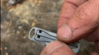 Keychain tweezers micro tool showing compact size and pointed tweezer tips.