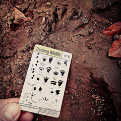 #16 Tracking Tip Card (Prints)-Grimworkshop-bugoutbag-bushcraft-edc-gear-edctool-everydaycarry-survivalcard-survivalkit-wilderness-prepping-toolkit