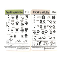 #16 Tracking Tip Card (Prints)-Grimworkshop-bugoutbag-bushcraft-edc-gear-edctool-everydaycarry-survivalcard-survivalkit-wilderness-prepping-toolkit