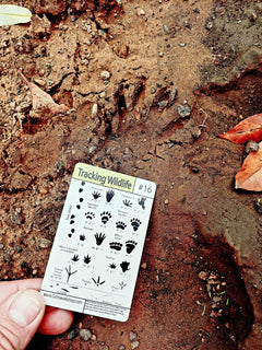 Tip Card survival set for quick survival tips in the wilderness