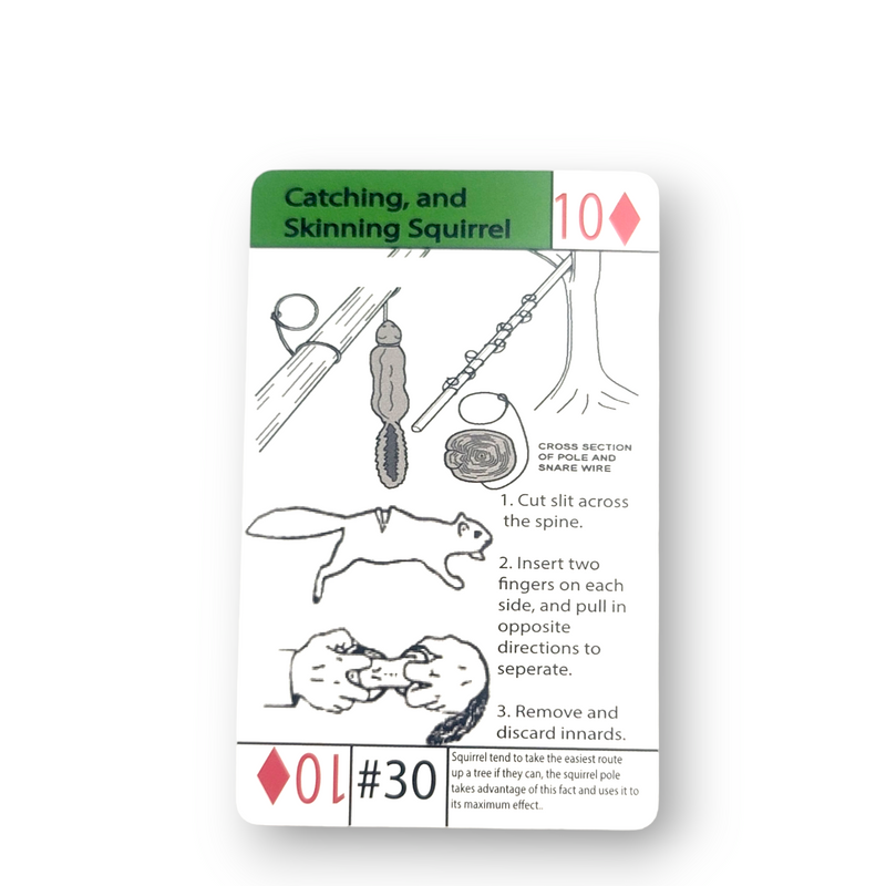 how to skin a squirrel and how to catch a squirrel