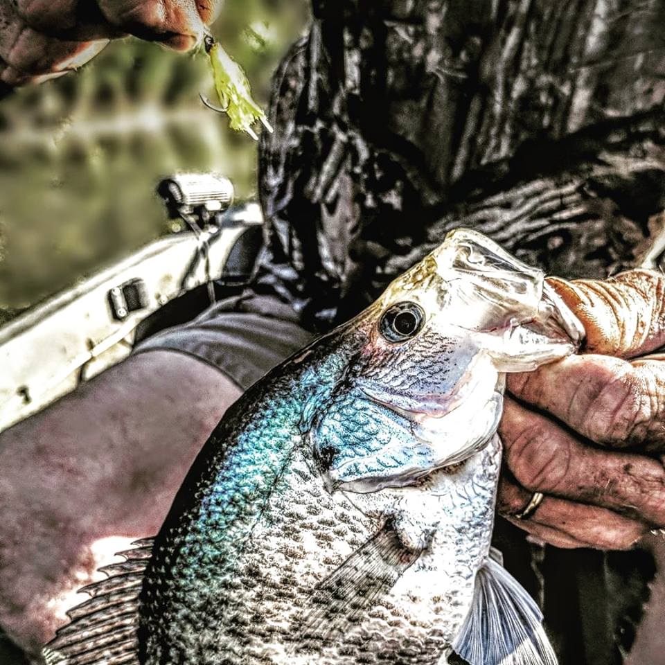 Fishing hook necklace survival fishing dog tag hooks