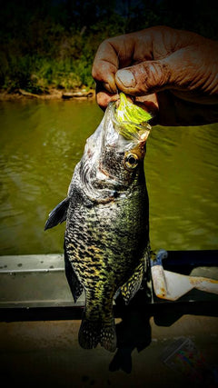 The fishing card survival fishing kit is a complete emergency fishing kit in one.