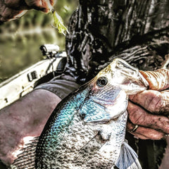 The fishing card survival fishing kit is a complete emergency fishing kit in one.