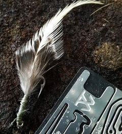 Jordan Jonas Alone Season 6 winner Jordan Jonas Survival Card